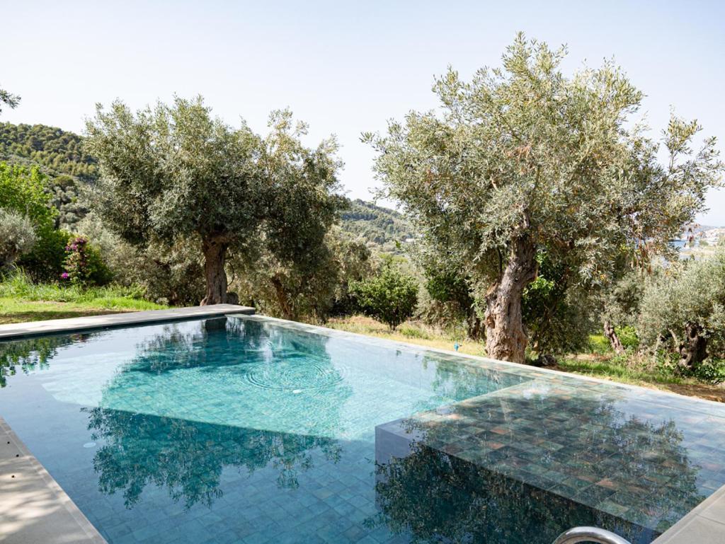 Dohos Skiathos Suites Ksanemos Exterior foto